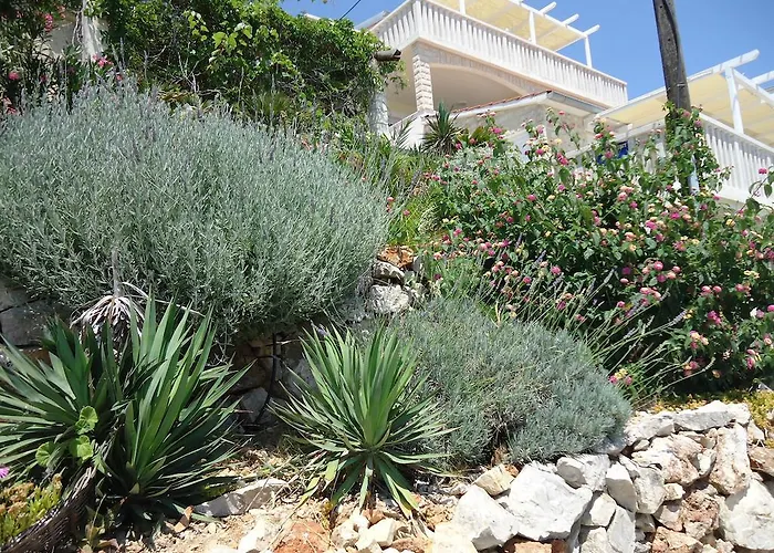 Island Apartman