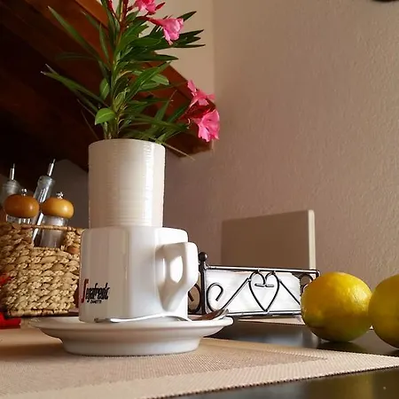 Island Apartment Vis